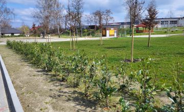 Park Południowy przy ul. Ludwikowskiej w Oleśnicy