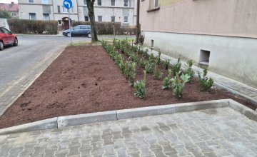 Zakończono zagospodarowanie terenu przy ul. Krzywoustego 70-71 i Słoneczna 20-21