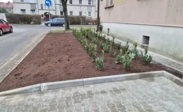 Zakończono zagospodarowanie terenu przy ul. Krzywoustego 70-71 i Słoneczna 20-21