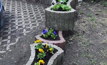 Wiosenne nasadzenia w gazonach