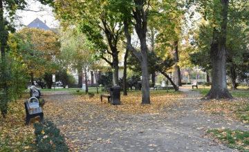 Ustalenia po konsultacjach z dnia 8 września 2026 r. 
