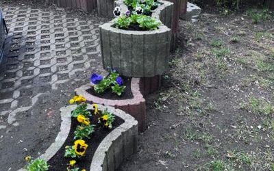 Wiosenne nasadzenia w gazonach (6)