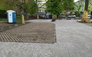 Zagospodarowanie terenu (5)
