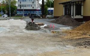 Zagospodarowanie terenu (8)