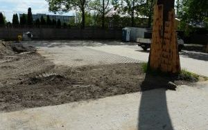 Zagospodarowanie terenu (11)
