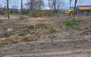 Park przy ul. Ludwikowskiej (1)