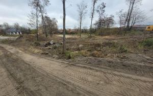 Park przy ul. Ludwikowskiej (2)