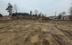 Park przy ul. Ludwikowskiej (1)