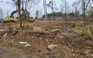 Park przy ul. Ludwikowskiej (2)