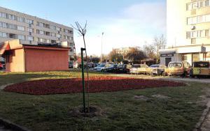parki kieszonkowe ul. Lwowska 6-10