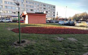 parki kieszonkowe ul. Lwowska 6-10