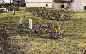 ul. 11 Listopada 1-4 (3)