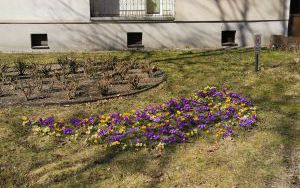 ul. 11 Listopada 1-4 (1)