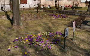 ul. 11 Listopada 1-4 (2)